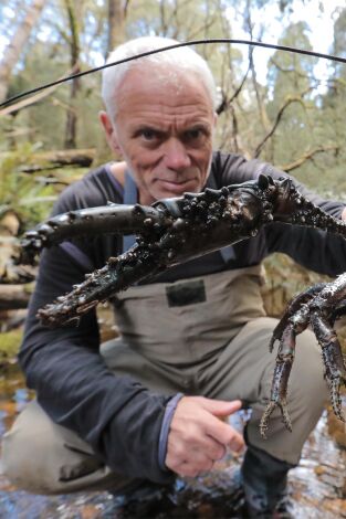 Aguas profundas con Jeremy Wade. Aguas profundas con...: Bestia de río jurásica