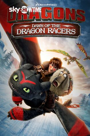 Dragons: Dawn of the Dragon Racers