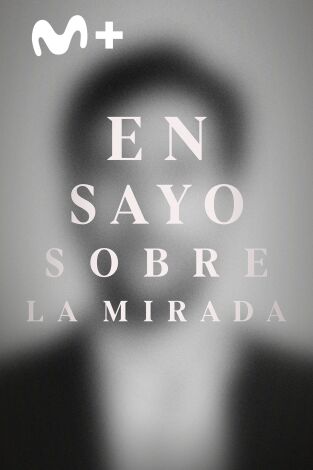 Ensayo sobre la mirada