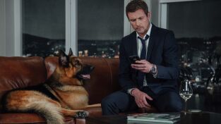 Hudson & Rex. T(T3). Hudson y Rex (T3): Ep.8 La Bella durmiente