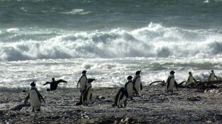 África. África: Costas