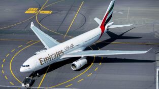 Aeropuerto 24/7. Aeropuerto 24/7: Serpientes