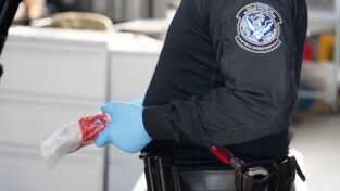 Control de aeropuertos: USA. Control de...: Brigada Beagle