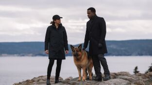 Hudson & Rex. T(T3). Hudson & Rex (T3): Ep.12 Perro jefe