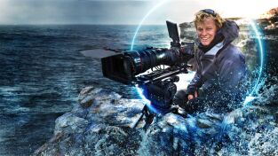 Invierno salvaje. Invierno salvaje: El mundo polar con Bertie Gregory