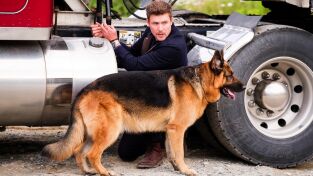 Hudson & Rex. T(T4). Hudson y Rex (T4): Ep.6 El puente del muerto