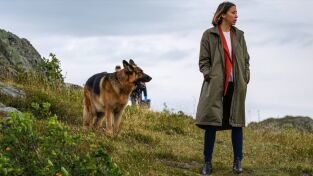 Hudson & Rex. T(T4). Hudson y Rex (T4): Ep.8 Muerte súbita