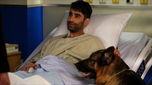 Hudson & Rex. T(T4). Hudson y Rex (T4): Ep.14 Hagan hueso