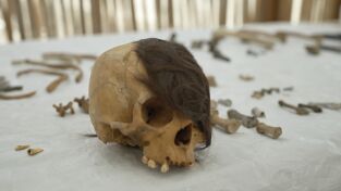 Los incas: auge y caída de un imperio. Los incas: auge y...: El último emperador