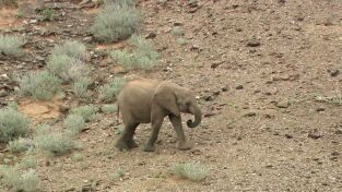 ÁFrica. ÁFrica: El Sáhara