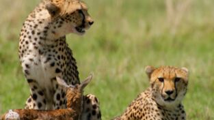 ÁFrica. ÁFrica: Persiguiendo las lluvias africanas