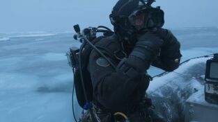 Planeta asombroso. Planeta asombroso: Círculo polar ártico