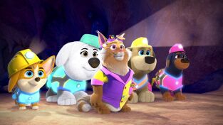 ¡Cachorros a la obra!. T(T2). ¡Cachorros a la... (T2): Amigos del barrio