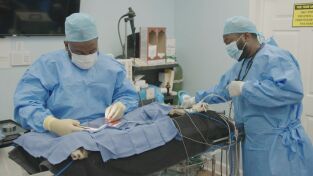 Critter fixers: Veterinarios rurales. Critter fixers:...: ¡Menuda morena!