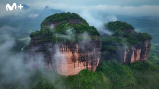 China Salvaje: Cantón