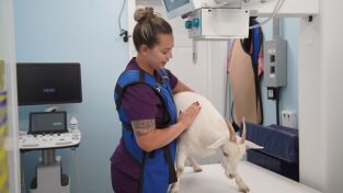 Critter fixers: Veterinarios rurales. Critter fixers:...: Aquí los tratamos a todos