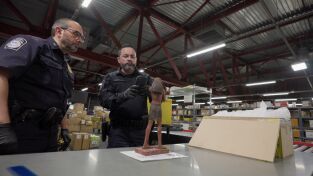 Control de aeropuertos: USA. Control de...: El piloto de las pastillas