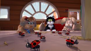 Adivina con Jess. T(T1). Adivina con Jess (T1): ¿Por qué hay tantas mariquitas?