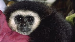 El mes de la Tierra. El mes de la Tierra: La vida sin agua