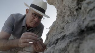 Tesoros perdidos de la Biblia: misterios de la Fe. Tesoros perdidos de la...: La vida de Cristo
