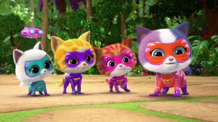 Superkitties. T(T3). Superkitties (T3): Rosa de la selva / Piedra superespecial
