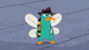 Phineas y Ferb. T(T4). Phineas y Ferb (T4): El Día de la Abeja/ Una historia de abejas