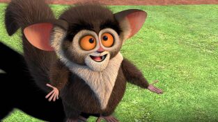 Viva el rey Julien. T(T2). Viva el rey Julien (T2): Comida Rápida Nación Lémur