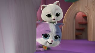 SuperKitties