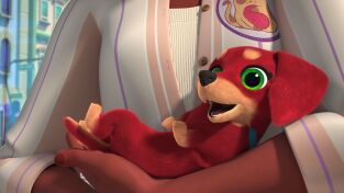 SuperKitties. T(T1). SuperKitties (T1): Perrito caliente desaparecido / Mago misterioso