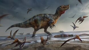 Misterios Y Leyendas. Misterios Y Leyendas: La isla de los dinosaurios
