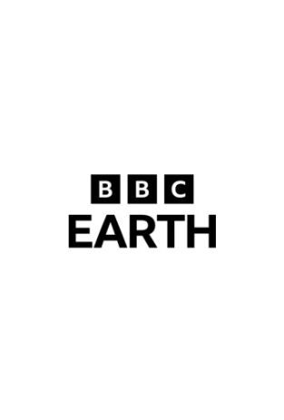 Fauna letal. Fauna letal 