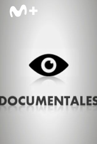 Ensayo sobre la mirada