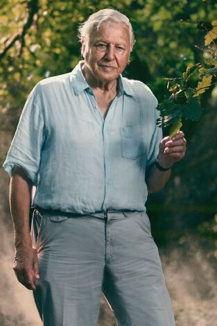 La extinción: los hechos