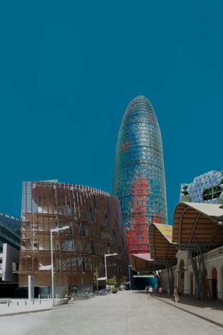 Icones. T(T1). Icones (T1): Mercat de Santa Caterina: estrats d'història