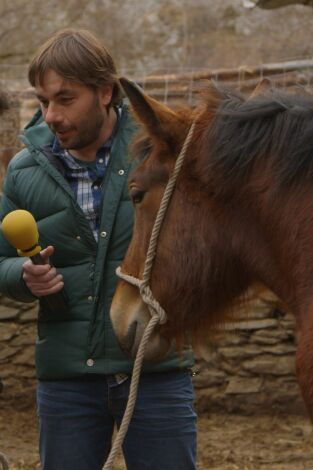 El Foraster. T(T3). El Foraster (T3): Llavorsí
