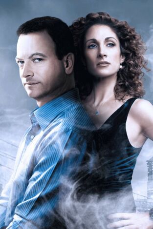 C.S.I. Nueva York. T(T1). C.S.I. Nueva York (T1): Ep.11 Tres homicidios