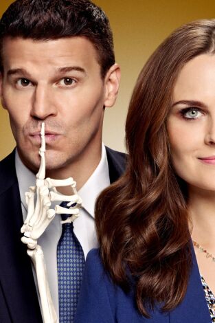 Bones. T(T9). Bones (T9): Ep.11 La chispa en el aire