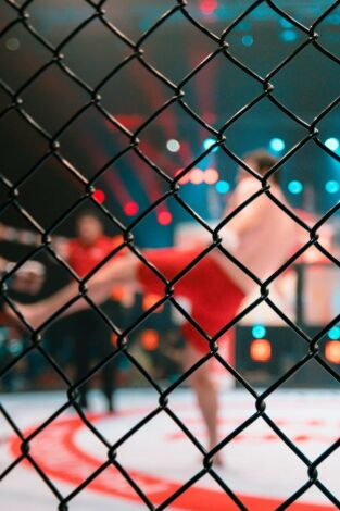 UFC Fight Night: Poirier vs Hooker. T(2020). UFC Fight Night: Poirier vs Hooker (2020)