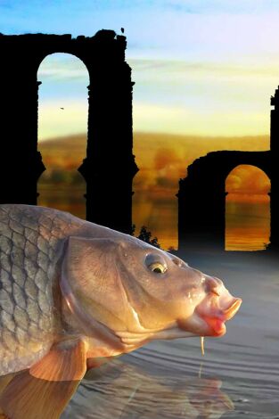 Tras las carpas romanas