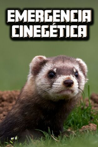 Emergencia cinegetica