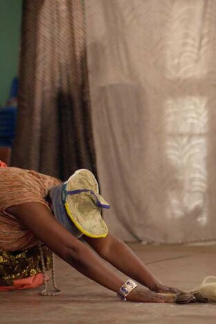 Póster de La controversia del arte