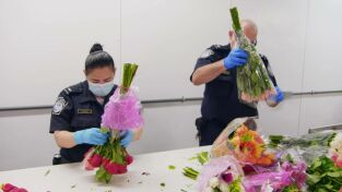 Control de Aeropuertos: Lo mejor de  Latinoamérica. Control de...: Métodos de narcotráfico variopintos