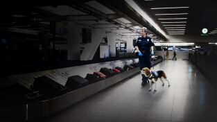 Control de aeropuertos: USA. Control de...: Están lloviendo metanfetaminas