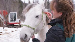 Una veterinaria todoterreno. Una veterinaria...: Nada de patalear