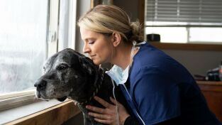 Veterinarios de Nebraska. T(T3). Veterinarios de... (T3): El águila ha aterrizado