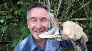 Las serpientes más mortíferas. Las serpientes más...: Australia