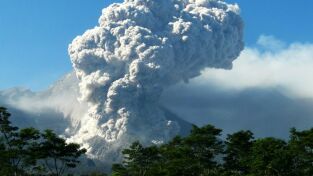 Volcán: destrucción y creación. Volcán: destrucción y...: Un presente fértil