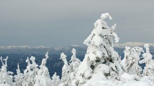 Japón, las cuatro estaciones. Japón, las cuatro...: Otoño e invierno