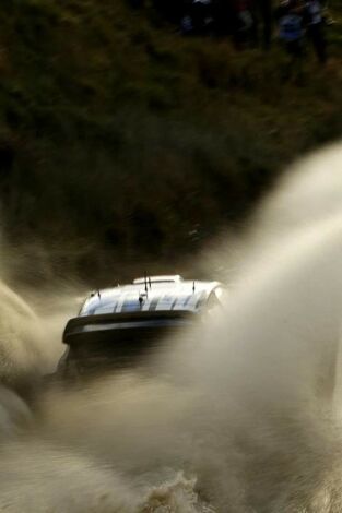 FIA Extreme H World Cup