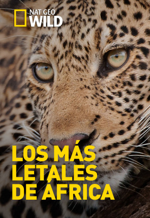 Póster de Los depredadores más letales de África · Cazadores al acecho